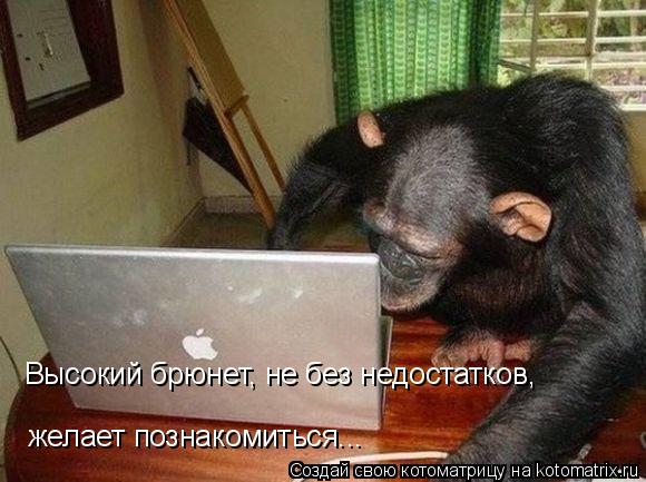 Котоматрица: Высокий брюнет, не без недостатков, желает познакомиться...