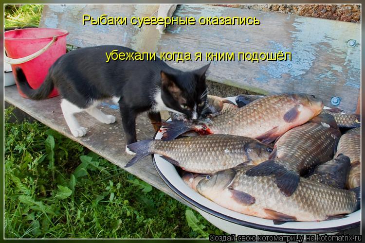 Рыбаки суеверные оказались убежали когда я кним подошёл... Котоматрица: Рыбаки суеверные оказались убежали когда я кним подошёл
