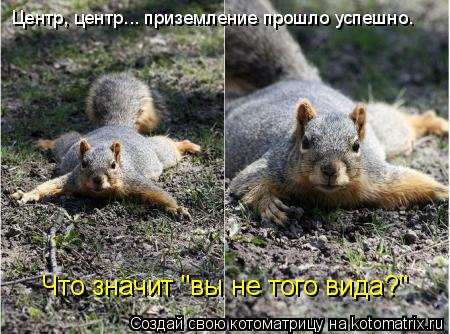 Центр, центр... приземление прошло успешно. Что значит "вы не того вида?"... Котоматрица: Центр, центр... приземление прошло успешно. Что значит "вы не того вида?"