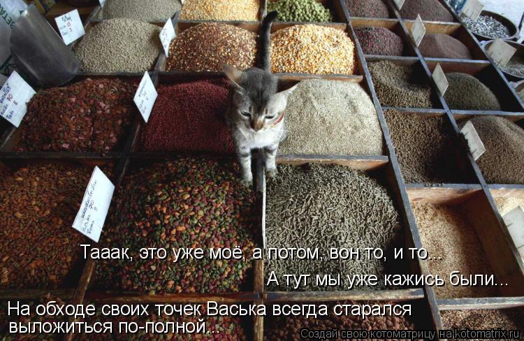 Тааак, это уже моё, а потом, вон то, и то... А тут мы уже кажись были... На обходе своих точек Васька... Котоматрица: Тааак, это уже моё, а потом, вон то, и то... А тут мы уже кажись были... На обходе своих точек Васька всегда старался выложиться по-полной...