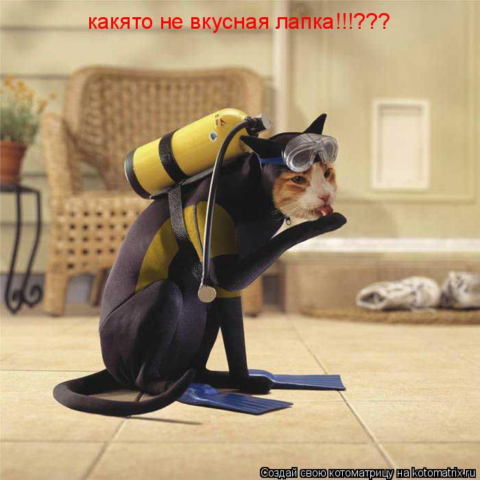 какято не вкусная лапка!!!???... Котоматрица: какято не вкусная лапка!!!???