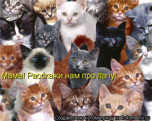 Котоматрица: Мама! Расскажи нам про папу!