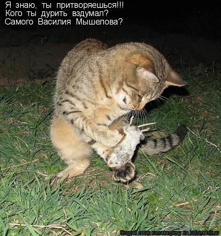 Я знаю, ты притворяешься!!! Кого ты дурить вздумал? Самого Василия Мышелова?... Котоматрица: Я знаю, ты притворяешься!!! Кого ты дурить вздумал? Самого Василия Мышелова?