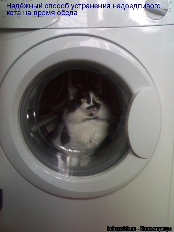 Котоматрица: Надёжный способ устранения надоедливого кота на время обеда.