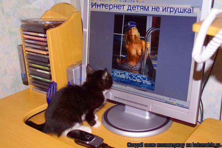 Интернет детям не игрушка!... Котоматрица: Интернет детям не игрушка!