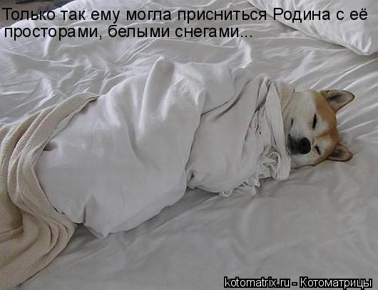 Только так ему могла присниться Родина с её просторами, белыми снегами...... Котоматрица: Только так ему могла присниться Родина с её просторами, белыми снегами...