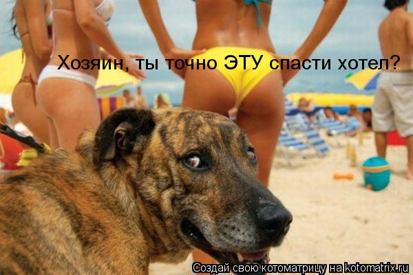 Хозяин, ты точно ЭТУ спасти хотел?... Котоматрица: Хозяин, ты точно ЭТУ спасти хотел?