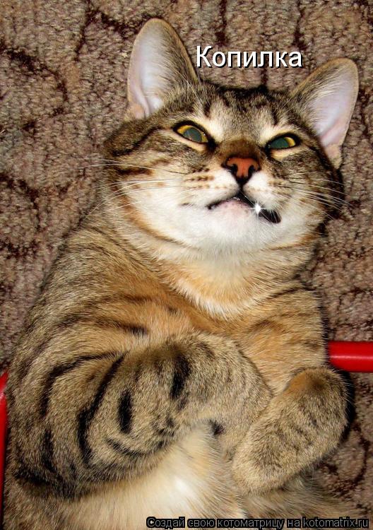 Копилка... Котоматрица: Копилка