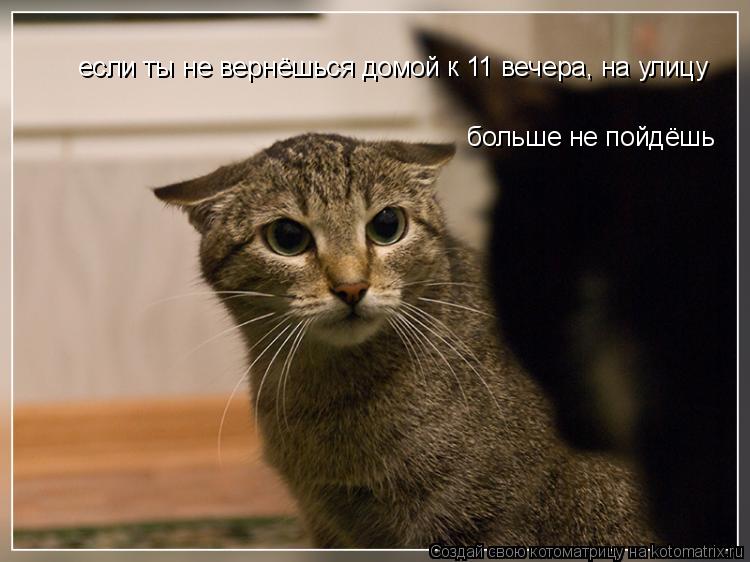 если ты не вернёшься домой к 11 вечера, на улицу если ты не вернёшься домой к 11 вечера, на улицу бол... Котоматрица: если ты не вернёшься домой к 11 вечера, на улицу если ты не вернёшься домой к 11 вечера, на улицу больше не пойдёшь