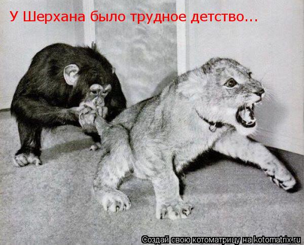 Котоматрица: У Шерхана было трудное детство...
