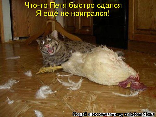 Что-то Петя быстро сдался Я ещё не наигрался!... Котоматрица: Что-то Петя быстро сдался Я ещё не наигрался!
