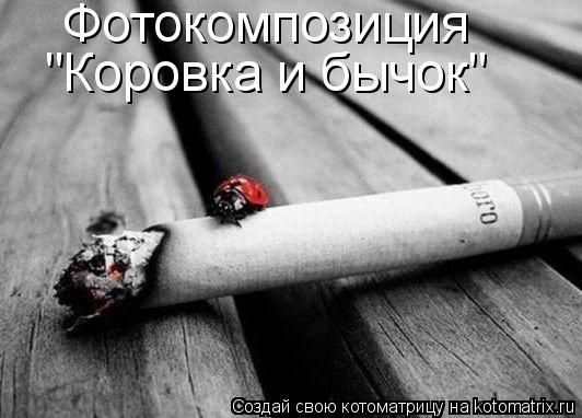Фотокомпозиция "Коровка и бычок"... Котоматрица: Фотокомпозиция "Коровка и бычок"