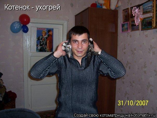 Котенок - ухогрей... Котоматрица: Котенок - ухогрей