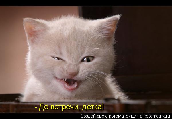 - До встречи, детка!... Котоматрица: - До встречи, детка!