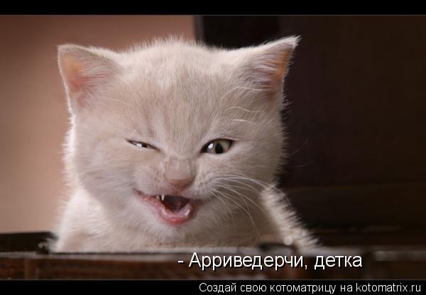 - Арриведерчи, детка... Котоматрица: - Арриведерчи, детка