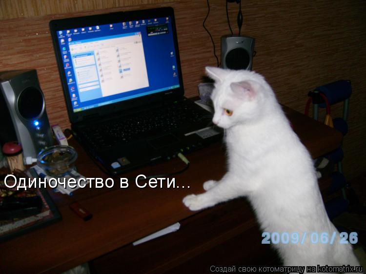 Одиночество в Сети...... Котоматрица: Одиночество в Сети...