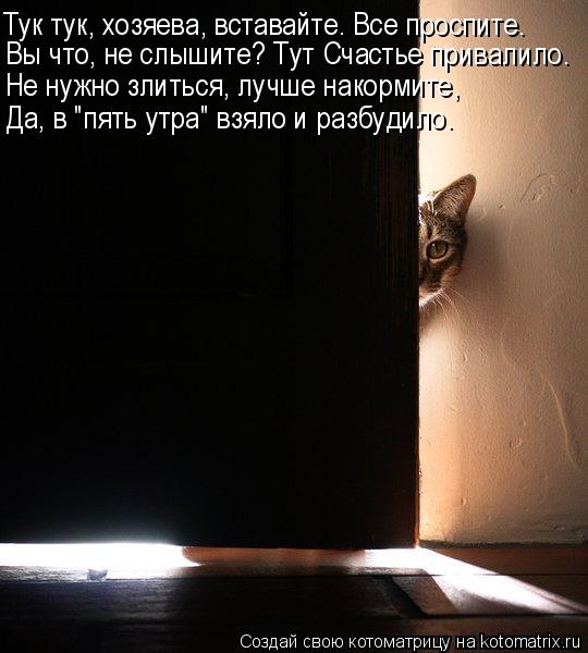 Котоматрица: Тук тук, хозяева, вставайте. Все проспите. Вы что, не слышите? Тут Счастье привалило. Не нужно злиться, лучше накормите, Да, в "пять утра" взяло 