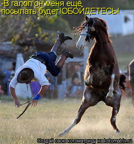 -В галоп он меня ещё посылать будет!ОБОЙДЕТЕСЬ!... Котоматрица: -В галоп он меня ещё посылать будет!ОБОЙДЕТЕСЬ!