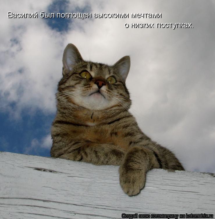 Василий был поглощен высокими мечтами о низких поступках.... Котоматрица: Василий был поглощен высокими мечтами о низких поступках.