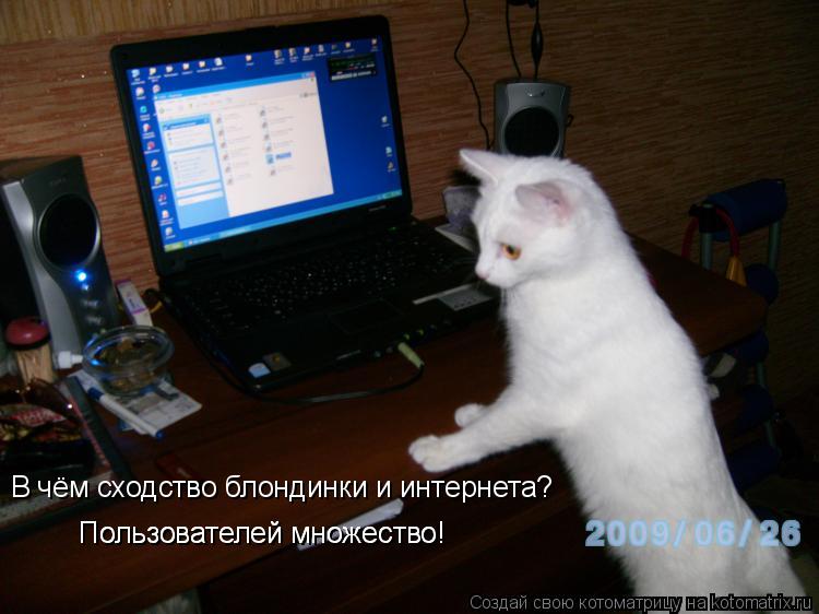 В чём сходство блондинки и интернета? Пользователей множество! Пользователей множество!... Котоматрица: В чём сходство блондинки и интернета? Пользователей множество! Пользователей множество!