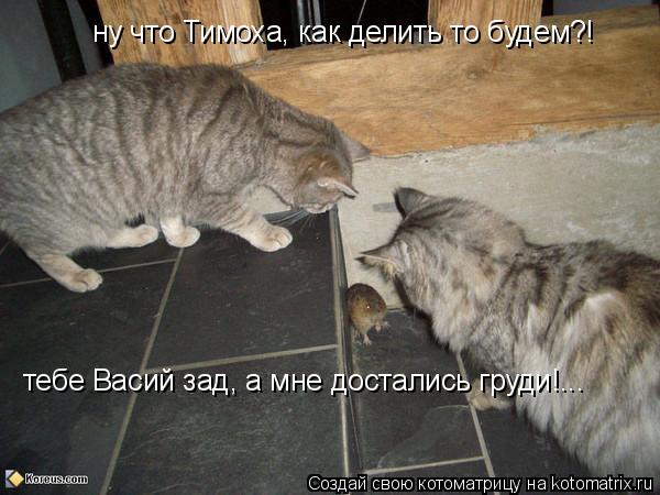 ну что Тимоха, как делить то будем?! тебе Васий зад, а мне достались груди!...... Котоматрица: ну что Тимоха, как делить то будем?! тебе Васий зад, а мне достались груди!...