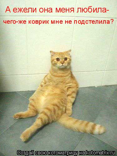 А ежели она меня любила- чего-же коврик мне не подстелила?... Котоматрица: А ежели она меня любила- чего-же коврик мне не подстелила?