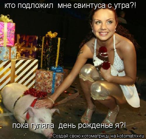 кто подложил мне свинтуса с утра?! пока гуляла день рожденье я?!... Котоматрица: кто подложил мне свинтуса с утра?! пока гуляла день рожденье я?!