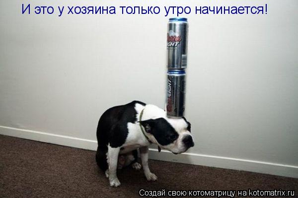 И это у хозяина только утро начинается!... Котоматрица: И это у хозяина только утро начинается!