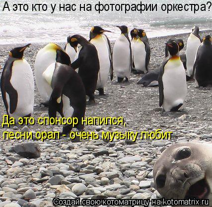 А это кто у нас на фотографии оркестра? Да это спонсор напился, песни орал - очень музыку любит... Котоматрица: А это кто у нас на фотографии оркестра? Да это спонсор напился, песни орал - очень музыку любит