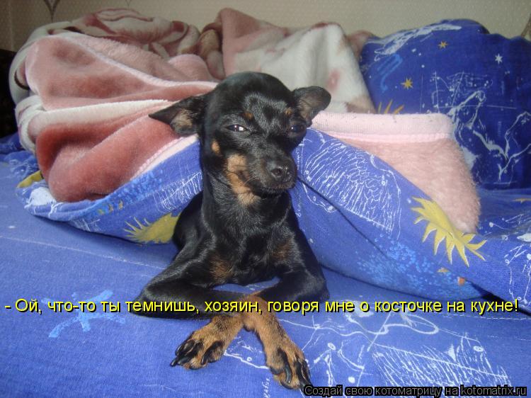 - Ой, что-то ты темнишь, хозяин, говоря мне о косточке на кухне!... Котоматрица: - Ой, что-то ты темнишь, хозяин, говоря мне о косточке на кухне!