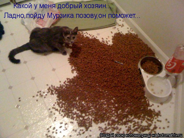 Какой у меня добрый хозяин... Ладно,пойду Мурзика позову,он поможет...... Котоматрица: Какой у меня добрый хозяин... Ладно,пойду Мурзика позову,он поможет...
