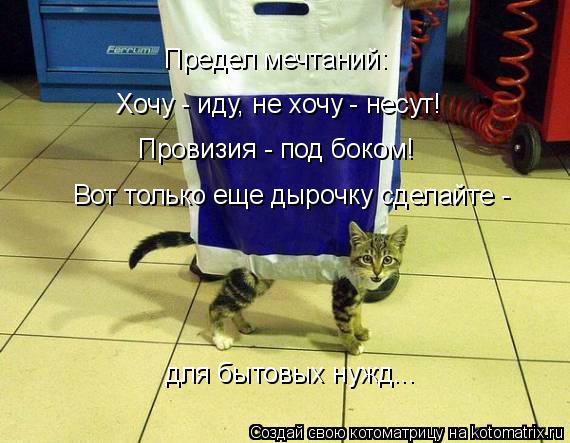 Котоматрица: для бытовых нужд... Провизия - под боком! Хочу - иду, не хочу - несут! Предел мечтаний: Вот только еще дырочку сделайте -