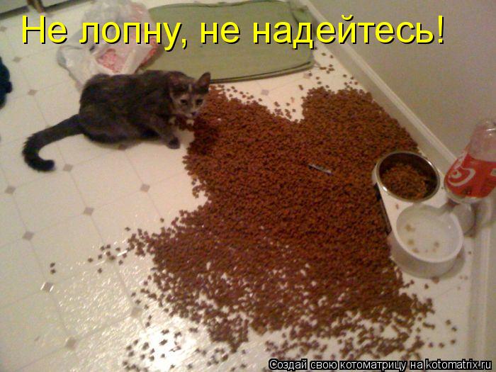 Не лопну, не надейтесь!... Котоматрица: Не лопну, не надейтесь!