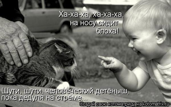 Котоматрица: Ха-ха-ха, ха-ха-ха,  на носу сидит блоха! Шути, шути, человеческий детёныш, пока дедуля на стрёме...