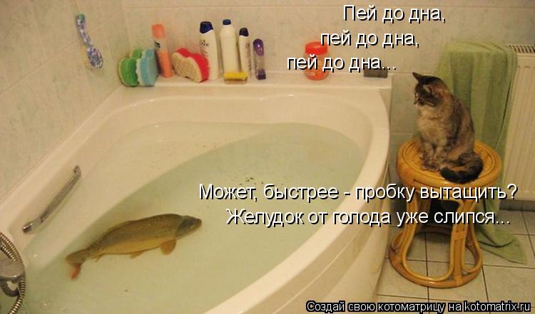 Котоматрица: Пей до дна, пей до дна, пей до дна... Может, быстрее - пробку вытащить? Желудок от голода уже слипся...