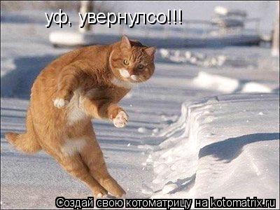 уф, увернулсо!!!... Котоматрица: уф, увернулсо!!!