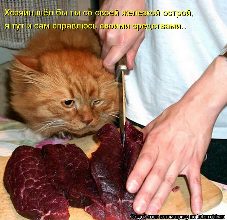 Хозяин,шёл бы ты со своей железкой острой, Хозяин,шёл бы ты со своей железкой острой, я тут и сам спр... Котоматрица: Хозяин,шёл бы ты со своей железкой острой, Хозяин,шёл бы ты со своей железкой острой, я тут и сам справлюсь своими средствами..