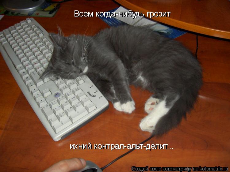 Котоматрица: Всем когда-нибудь грозит ихний контрал-альт-делит...