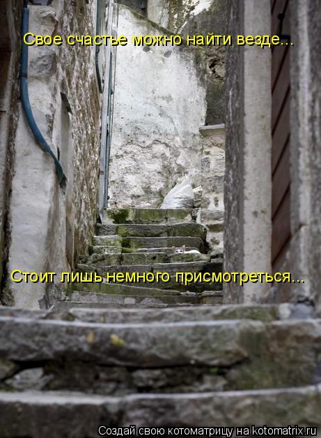 Свое счастье можно найти везде... Стоит лишь немного присмотреться...... Котоматрица: Свое счастье можно найти везде... Стоит лишь немного присмотреться...