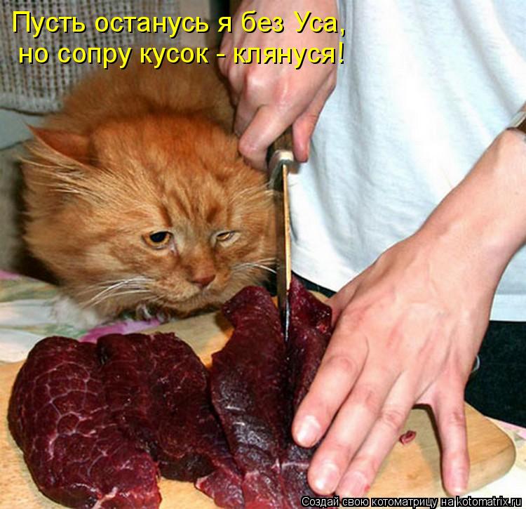 Пусть останусь я без Уса, но сопру кусок - клянуся!... Котоматрица: Пусть останусь я без Уса, но сопру кусок - клянуся!