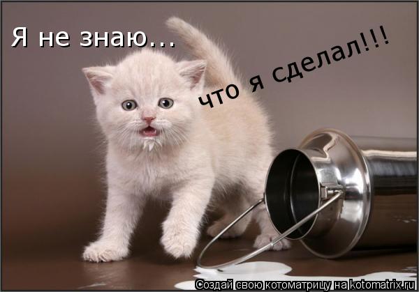 Я не знаю... что я сделал!!!... Котоматрица: Я не знаю... что я сделал!!!