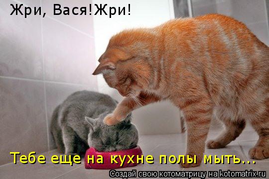 Жри, Вася!Жри! Тебе еще на кухне полы мыть...... Котоматрица: Жри, Вася!Жри! Тебе еще на кухне полы мыть...