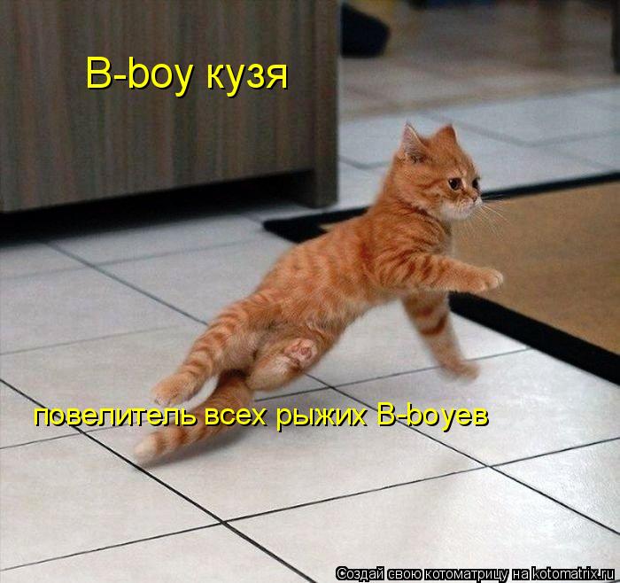 B-boy кузя повелитель всех рыжих B-boyев... Котоматрица: B-boy кузя повелитель всех рыжих B-boyев