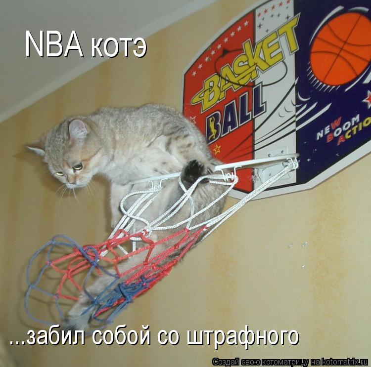 NBA котэ ...забил собой со штрафного... Котоматрица: NBA котэ ...забил собой со штрафного