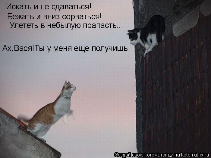 Искать и не сдаваться! Бежать и вниз сорваться! Улететь в небылую прапасть... Ах,Вася!Ты у меня еще п... Котоматрица: Искать и не сдаваться! Бежать и вниз сорваться! Улететь в небылую прапасть... Ах,Вася!Ты у меня еще получишь!
