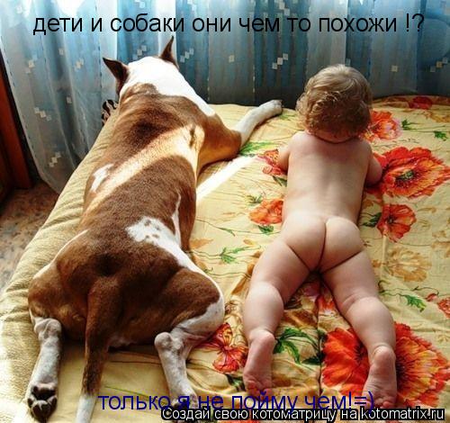 дети и собаки они чем то похожи !? только я не пойму чем!=)... Котоматрица: дети и собаки они чем то похожи !? только я не пойму чем!=)