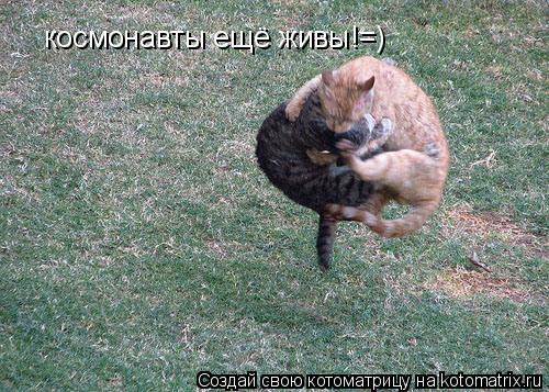 космонавты ещё живы!=)... Котоматрица: космонавты ещё живы!=)