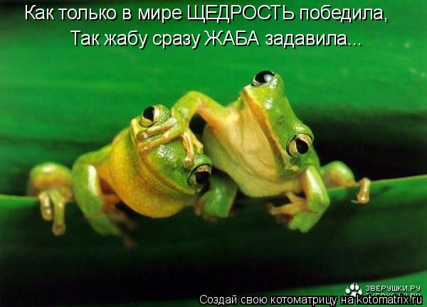 Котоматрица: Как только в мире ЩЕДРОСТЬ победила, Так жабу сразу ЖАБА задавила...