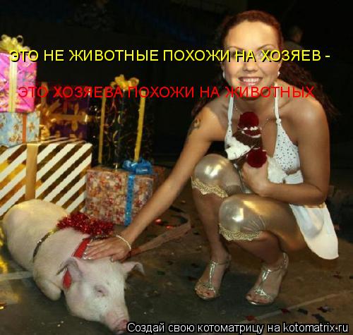 ЭТО НЕ ЖИВОТНЫЕ ПОХОЖИ НА ХОЗЯЕВ - ЭТО ХОЗЯЕВА ПОХОЖИ НА ЖИВОТНЫХ... Котоматрица: ЭТО НЕ ЖИВОТНЫЕ ПОХОЖИ НА ХОЗЯЕВ - ЭТО ХОЗЯЕВА ПОХОЖИ НА ЖИВОТНЫХ