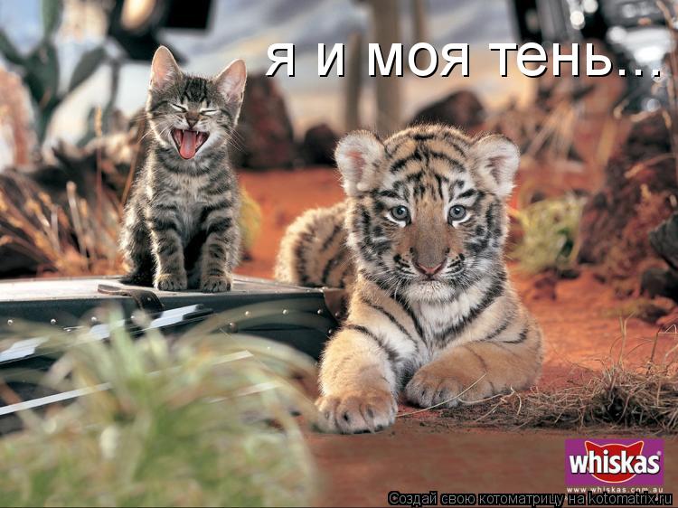 я и моя тень...... Котоматрица: я и моя тень...